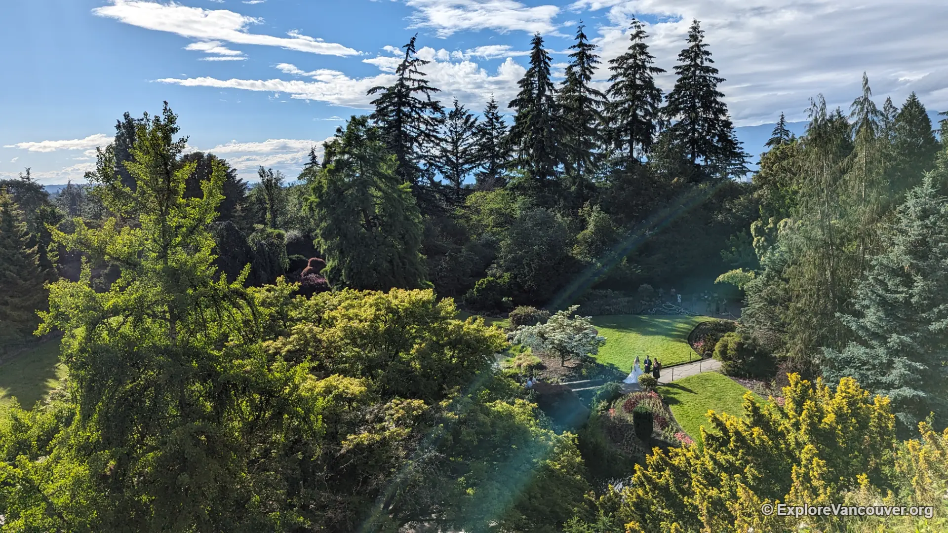 Queen Elizabeth Park quarry garden seen from above