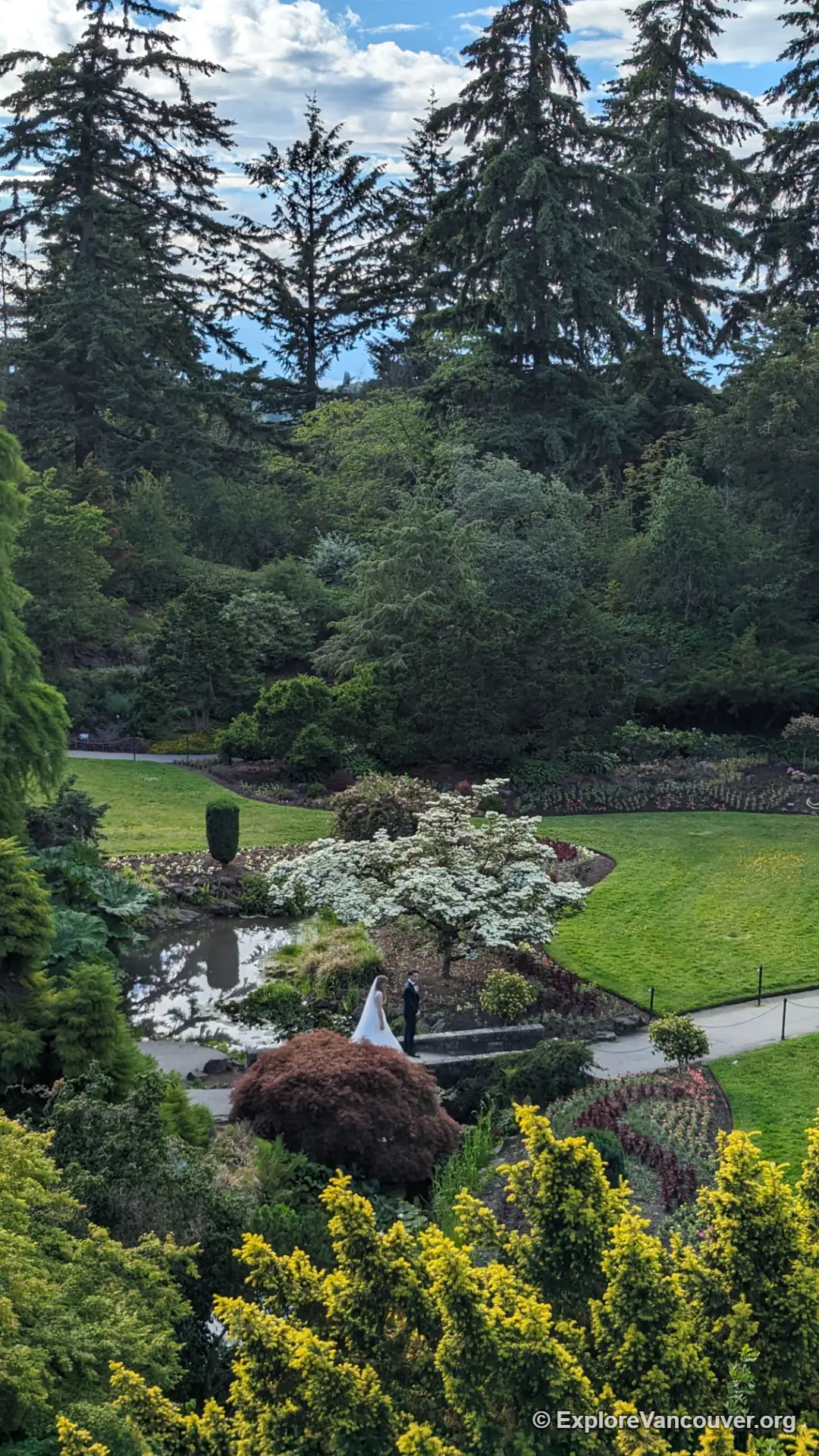 Queen Elizabeth Park gardens and paths from above