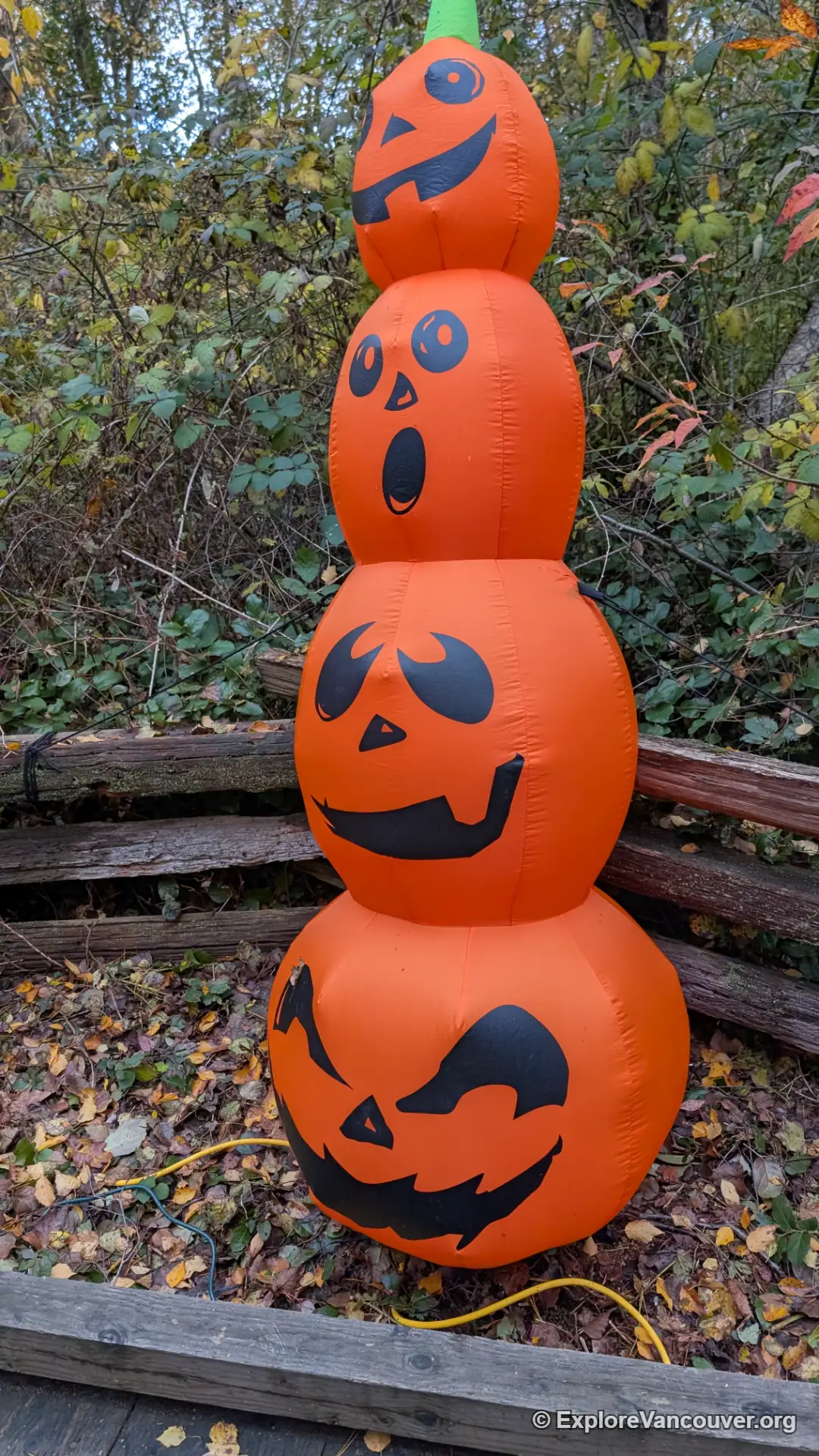Pumpkin inflatable at the Richmond Nature House during Halloween Hoot
