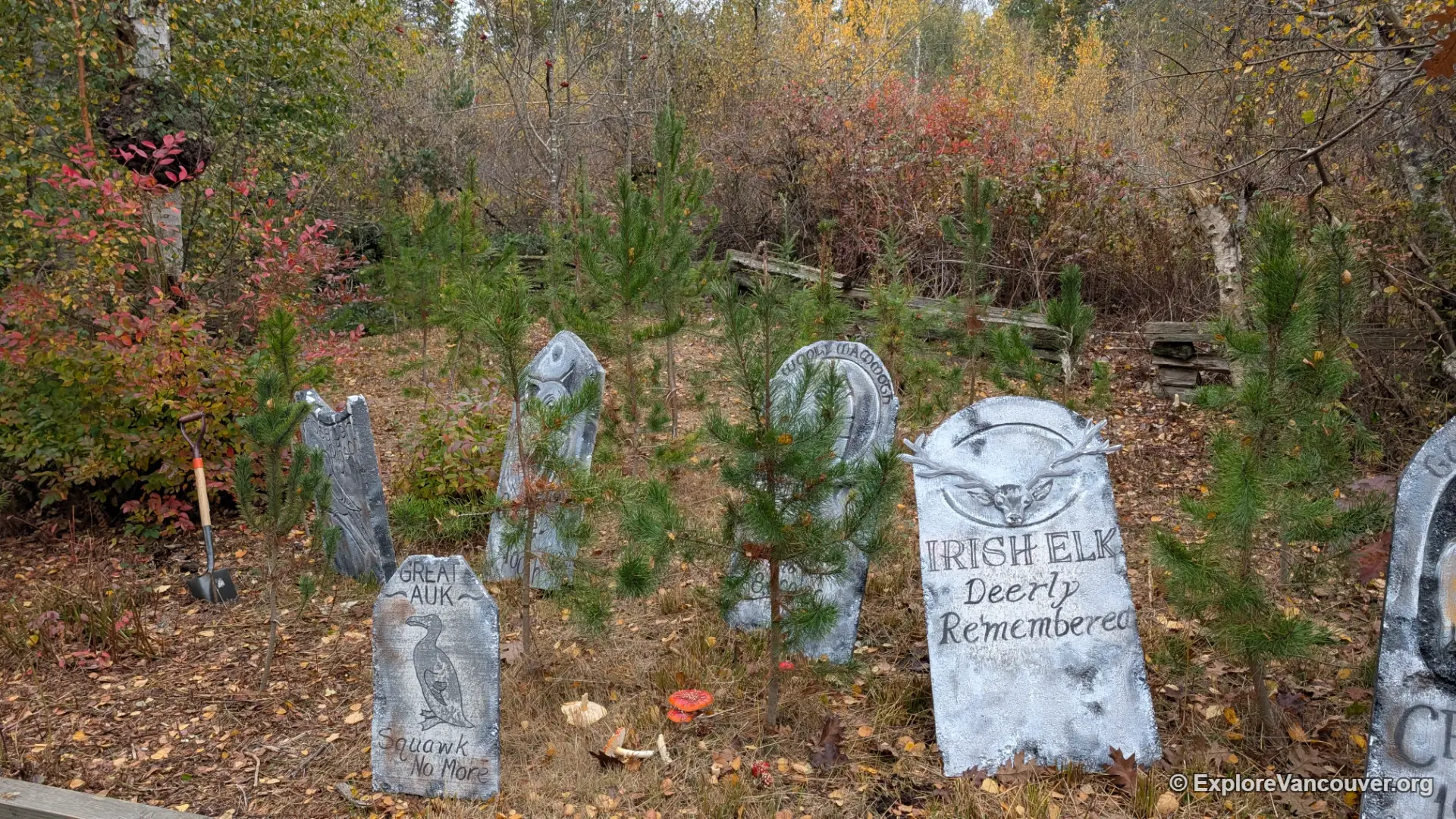 Graveyard display at Halloween Hoot, Richmond Nature Park