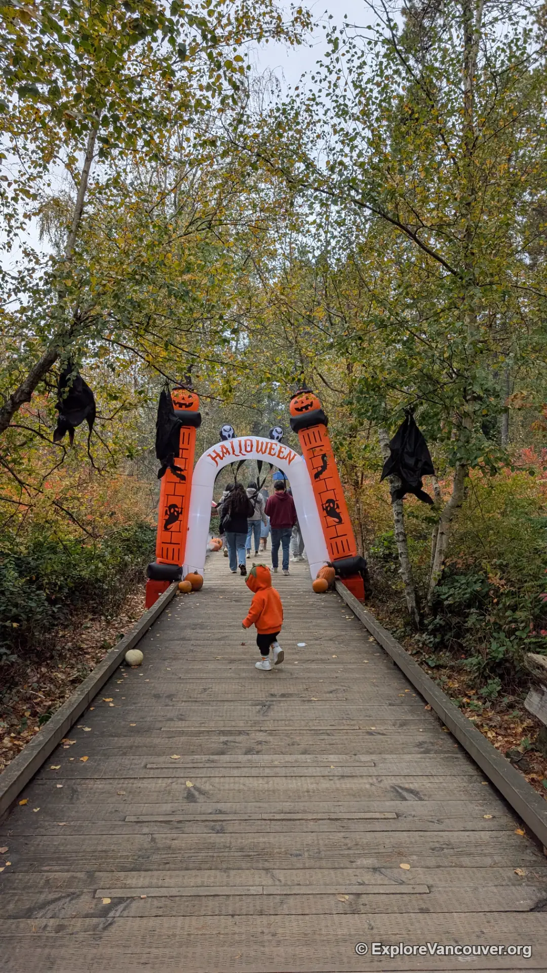 Halloween decorations along the forest trail at Richmond Nature Park