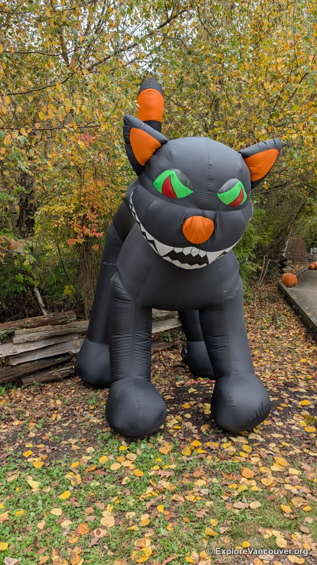 Giant inflatables at Halloween Hoot in Richmond, BC