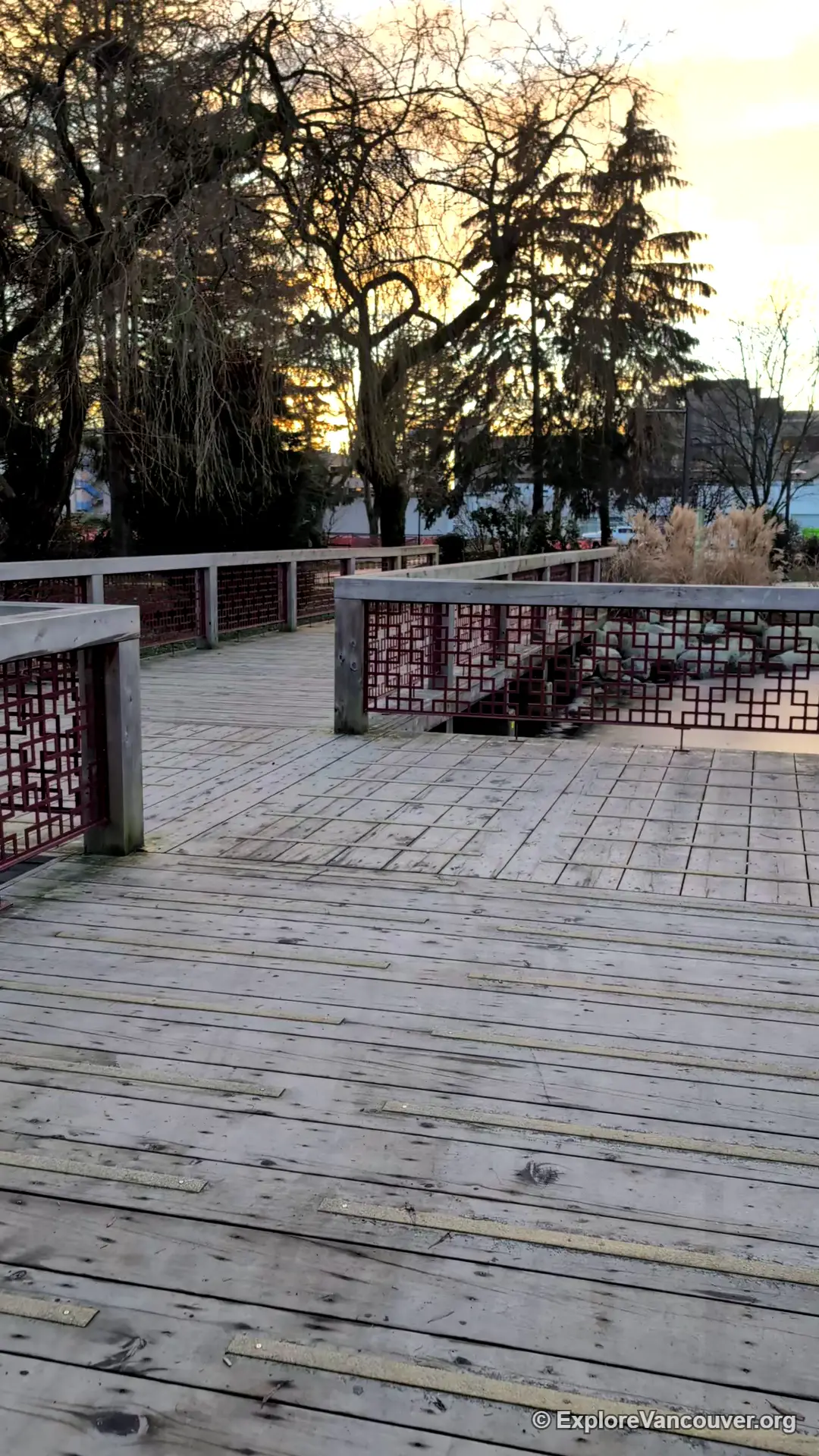 Boardwalk beside Minoru Lakes in Richmond BC